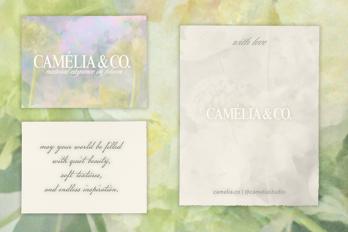 Botanica – Soft Floral Backgrounds, a Background Graphic by lerinartstudio (Photo 5 of 13)