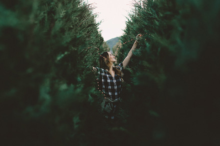 Girl decorating christmas tree featuring christmas, tree, and forest, a Holiday Photo by remi + tori