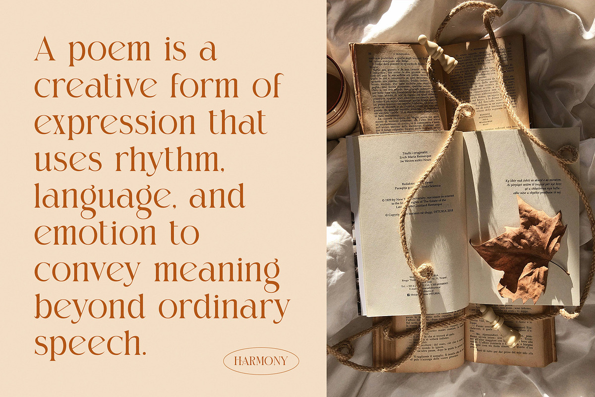 Chose Elegant Ligature Serif Font, a Serif Font by Perfectype (Photo 3 of 8)