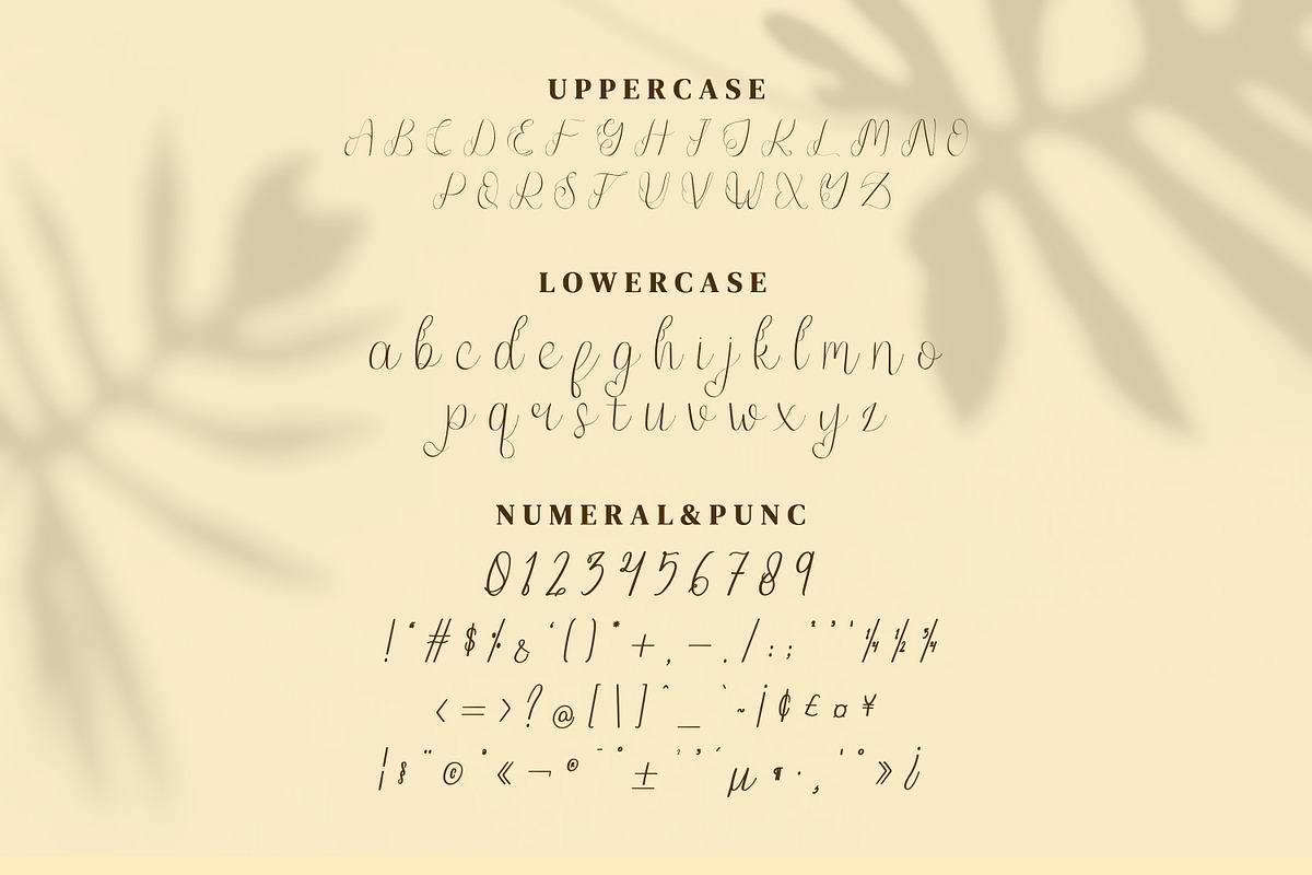 Jump Wings Script Fonts, a Script Font by mahstudios (Photo 12 of 15)