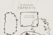 Botanical Imprints: Floral & Paper, an Object Graphic by Yuliya Derbisheva (Thumbnail 8 of 10)