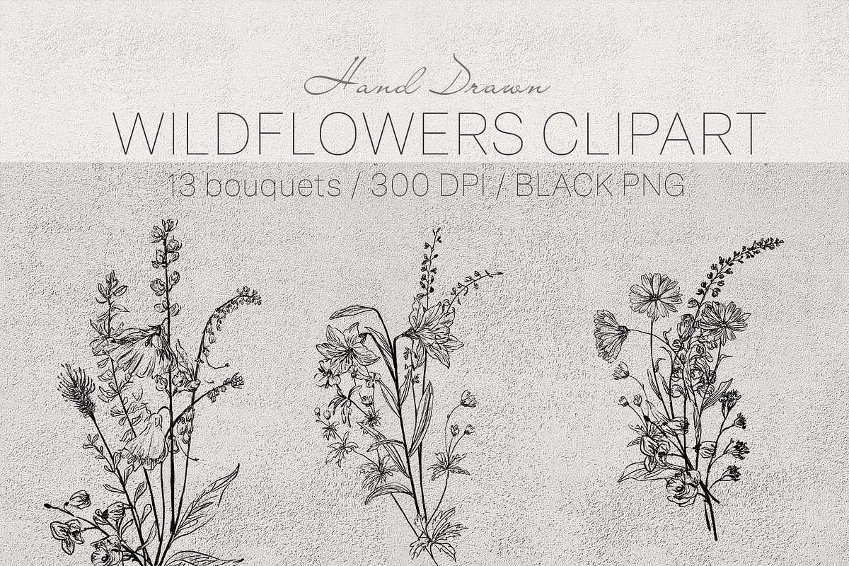 wildflowers clipart, a Decorative Illustration by JULIA x JULIE's ART (Photo 2 of 5)