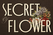 Catrose | Retro Sans, a Sans Serif Font by Almeera Std (Thumbnail 2 of 8)