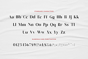 Lavishette - Modern Stylish, a Serif Font by RockboyStd (Thumbnail 10 of 12)