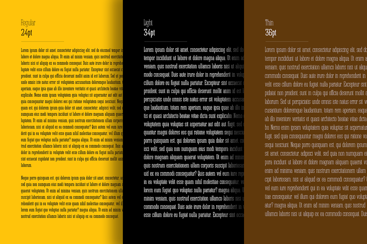 Jerome - Condensed Slab Serif, a Slab Serif Font by peterdraw (Photo 15 of 17)