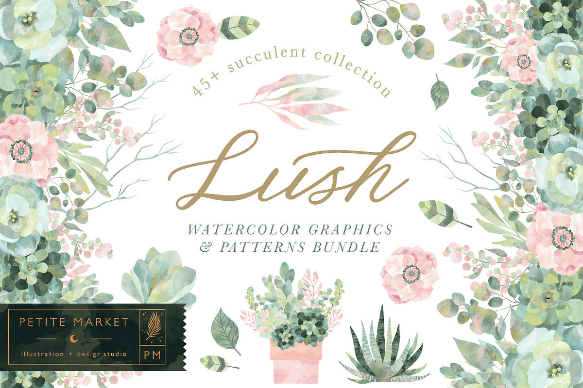 Lush Succulent Bundle, an Illustration by PetiteMarket (Photo 1 of 5)