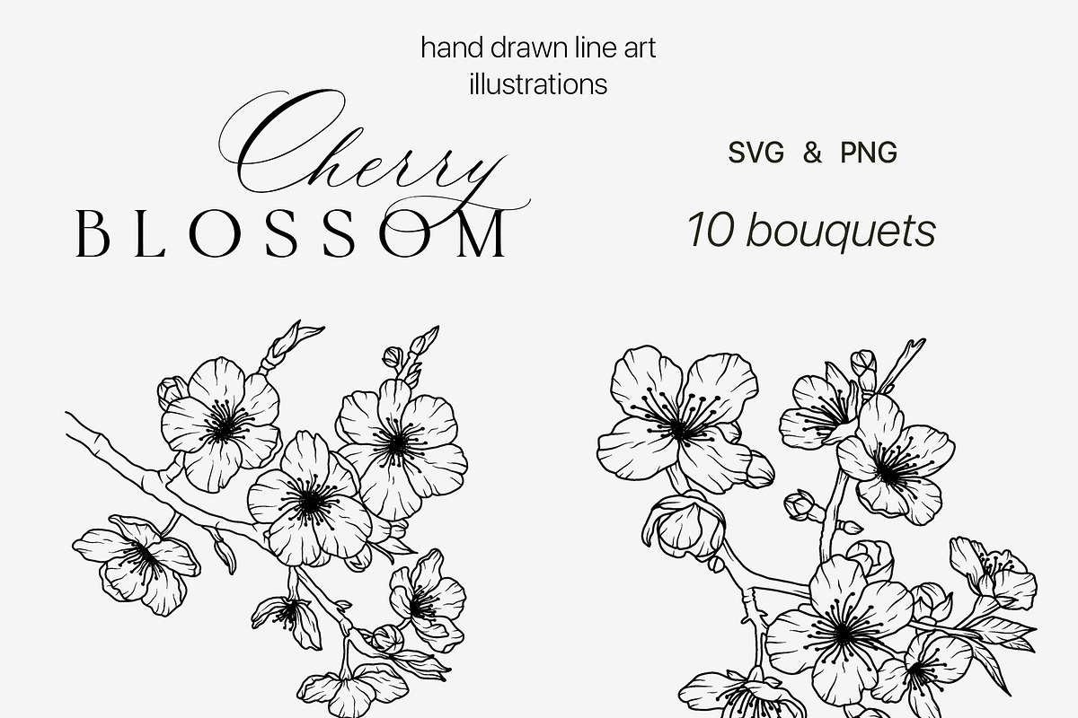 SAKURA - CHERRY blossom line art set, a Decorative Illustration by Madiwaso (Photo 2 of 8)