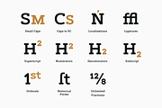 Artegra Slab, a Slab Serif Font by Artegra (Thumbnail 15 of 15)