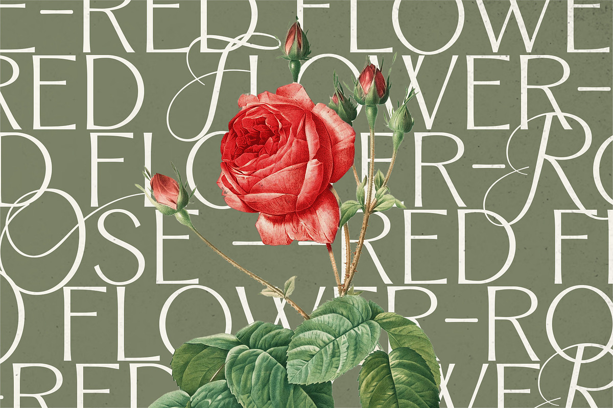 Angelora Typeface, a Sans Serif Font by Setara Langit CreativeStd (Photo 10 of 17)