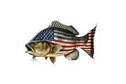 Fish American Flag Sublimation Clipa, an Object Graphic by Regulrcrative (Thumbnail 5 of 7)