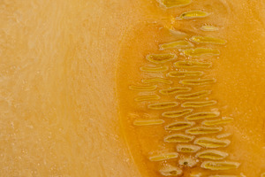 orange pumpkin cut into several pieces, fresh pumpkin for cooking cut into piec, a Photo by rsoollAI