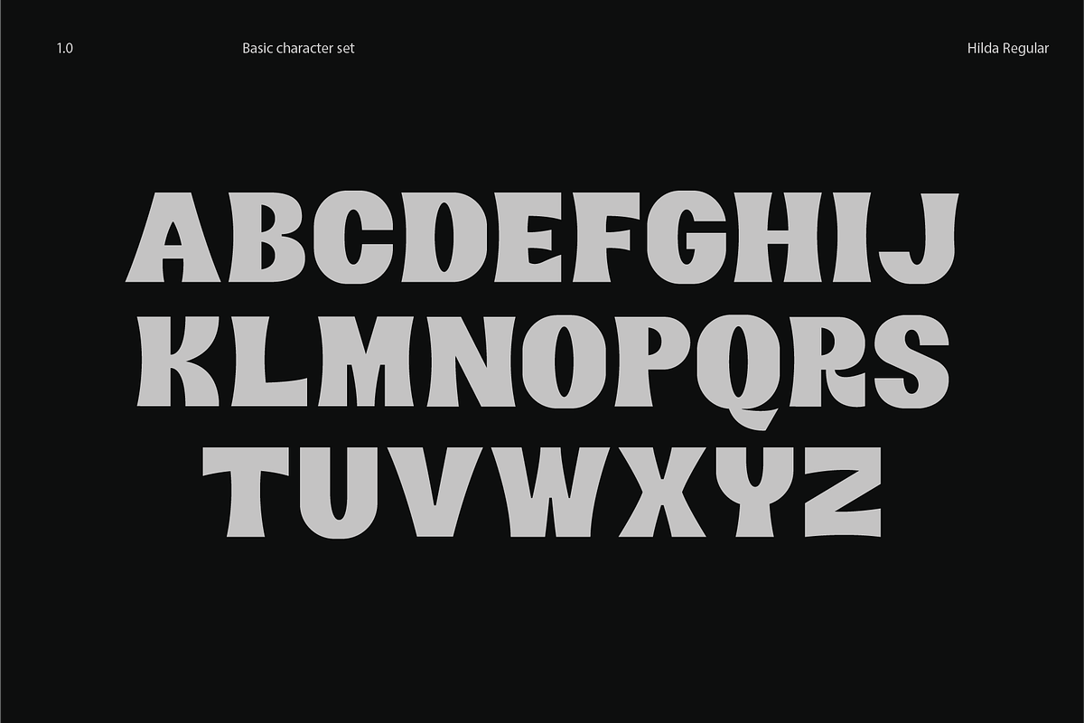 Hilda Typeface, a Font by Bartosz Bugaryn (Photo 2 of 8)