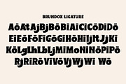 Brundox, a Handwritten Font by studiobasic (Thumbnail 9 of 10)