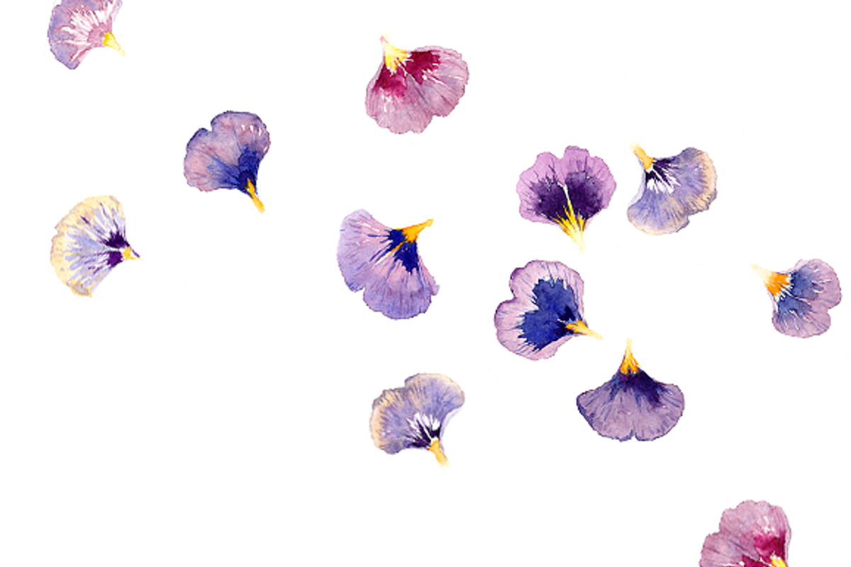 Ommm... watercolor clipart set, an Illustration by masha gross (Photo 4 of 5)