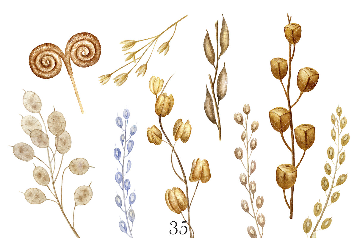 Bouquet of memories. Watercolor, an Object Graphic by Watercolor Clipart (Photo 5 of 6)
