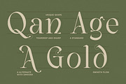 Vailnoise - Classic Vintage Serif, a Serif Font by Typia Nesia (Thumbnail 6 of 16)