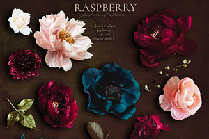 Raspberry Floral Clip Art Collection