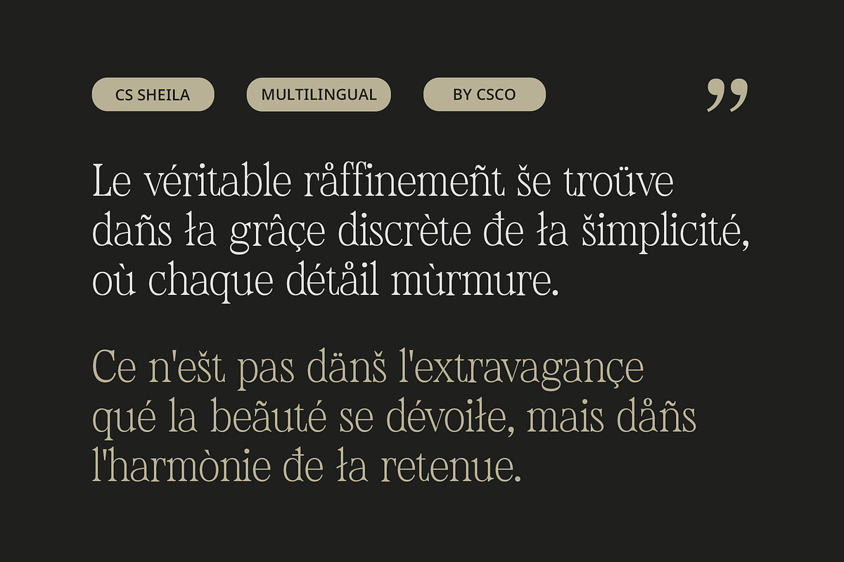 CS Sheila – Classic Font, a Serif Font by Craft Supply Co. (Photo 5 of 8)