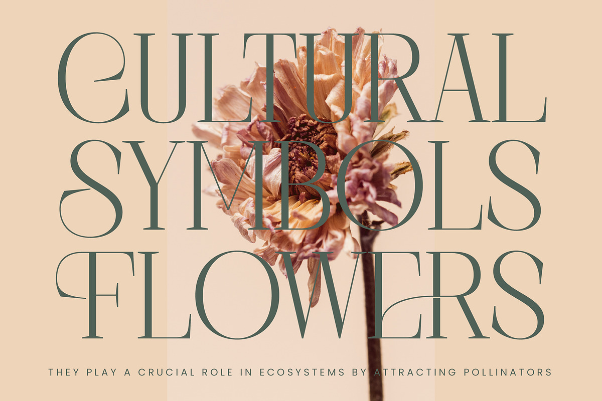 Barely Painter Elegant Serif Font, a Serif Font by timelesstype.co (Photo 7 of 20)