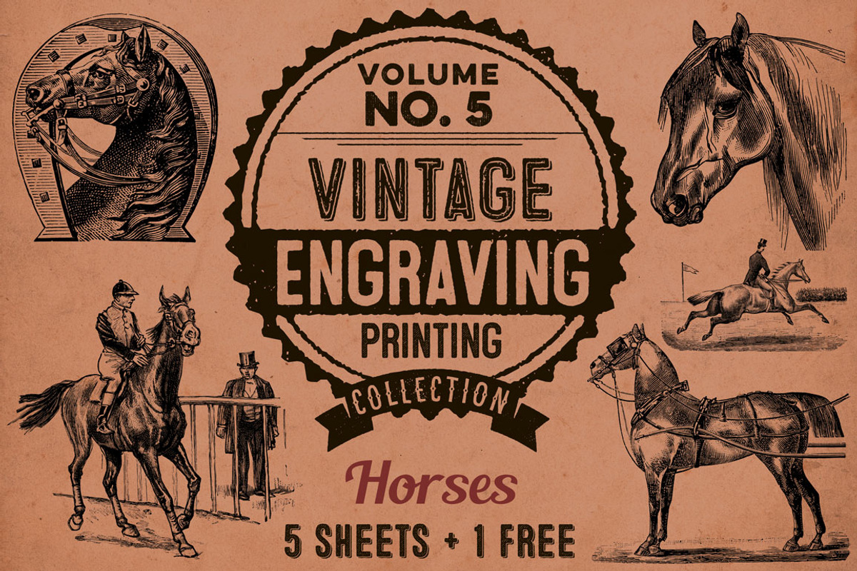 Horses / Vintage engravings