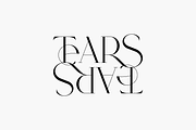SALE! Type Maestro -  serif font, a Serif Font by VP Fonts (Thumbnail 8 of 25)