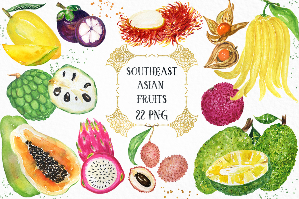 Tropical Asian fruits watercolors, a Food Illustration by LABFcreations (Photo 1 of 6)
