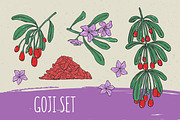 Goji berries set, seamless patterns, a Food Illustration by Good Studio (Thumbnail 1 of 9)