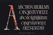 Dream Reacher Font, a Serif Font by Asenbayu (Thumbnail 4 of 12)