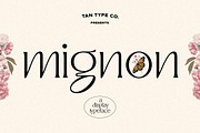 TAN - MIGNON, a Font by TanType (Thumbnail 1 of 17)