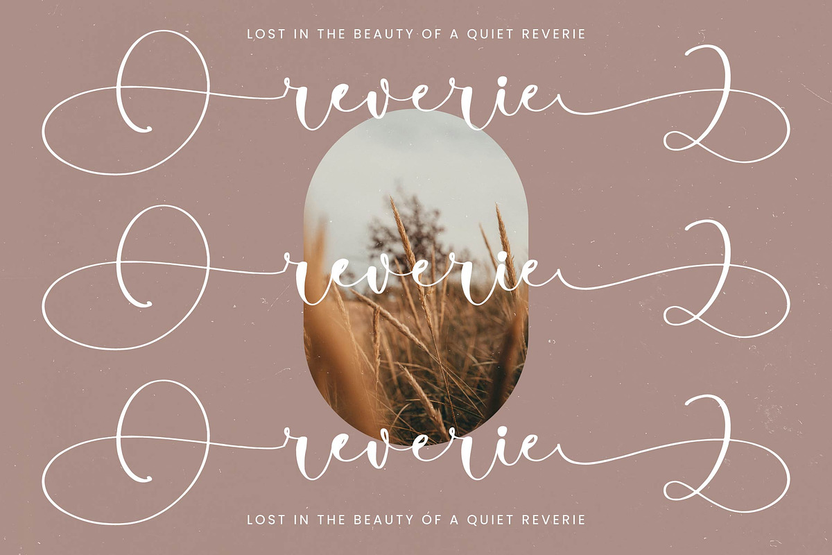 Tamylors Landry Stylish Calligraphy, a Script Font by stylishtype.co (Photo 3 of 20)