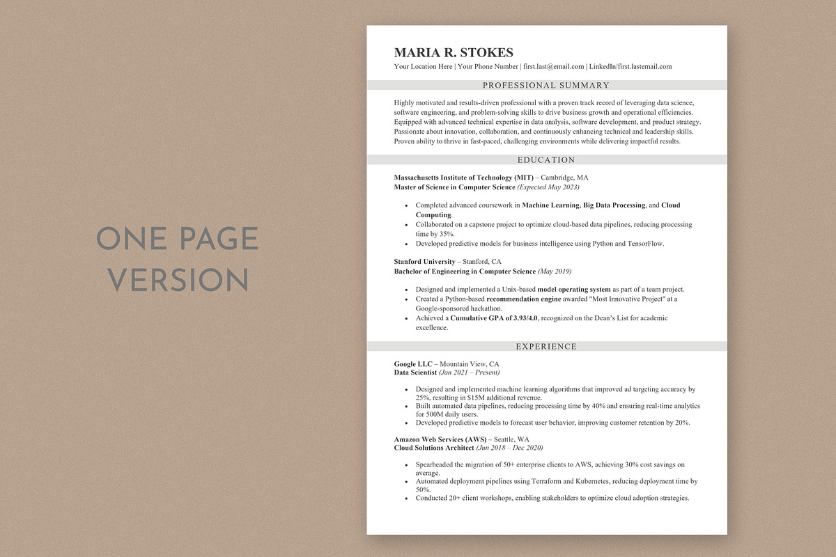 ATS Resume / CV preview 2