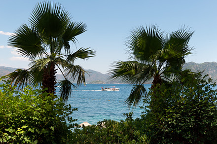 Seascape: palm trees, pleasure boat, a Holiday Photo by FedotovAnatoly