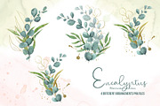Watercolor Eucalyptus SET, a Decorative Illustration by TanataDesign (Thumbnail 2 of 16)