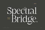 Spectral Bridge - Modern Serif, a Serif Font by Namara Creative Studio (Thumbnail 14 of 14)