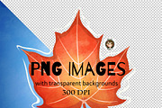 Koi Pond elements PNG clip-art Set, an Animal Illustration by Art by Angele G (Thumbnail 3 of 6)