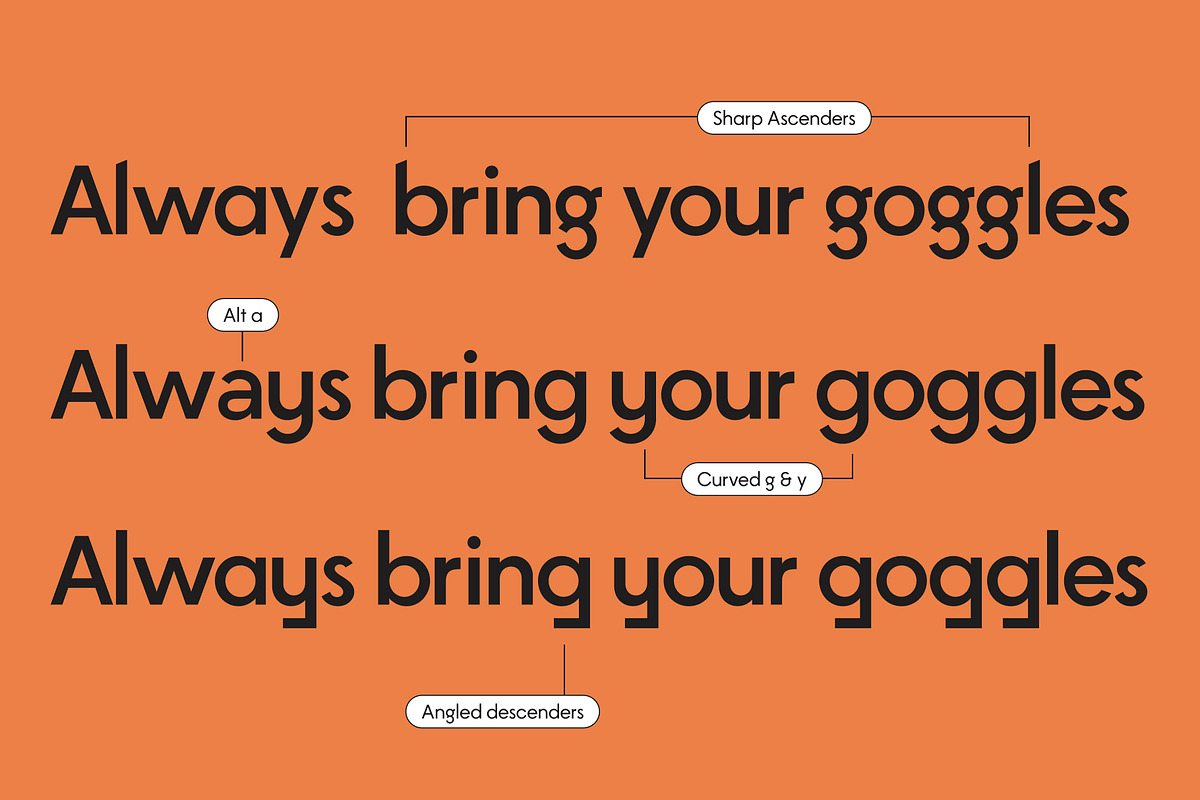 Stanley Sans Geometric Font Family, a Sans Serif Font by BTYPE (Photo 3 of 16)