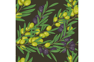 Branches With Leaves And Olive Berries