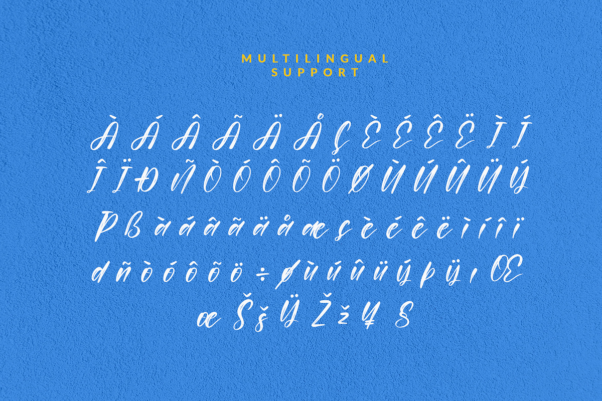 Persistent, a Script Font by Wildan Type (Photo 9 of 10)