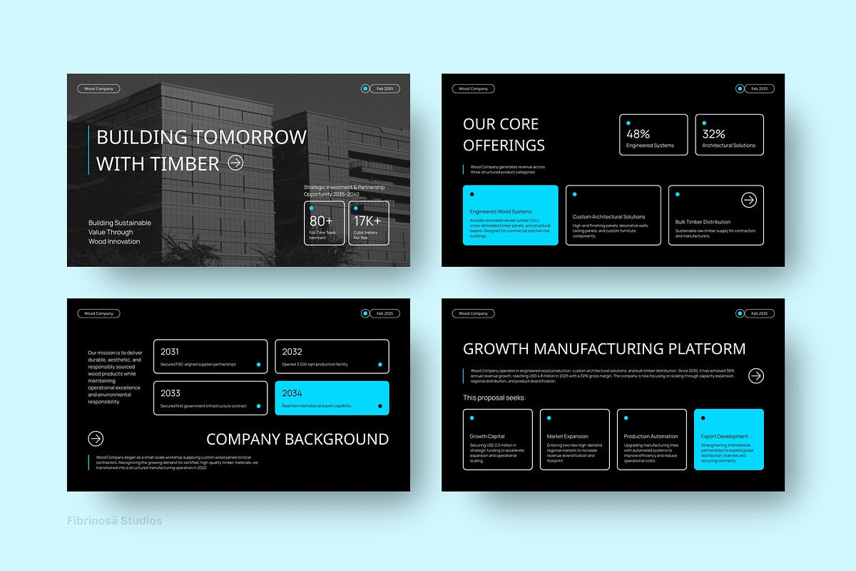 Business Plan Template, a Presentation Template by FIBRINOSÄ (Photo 6 of 7)