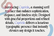 Capriola - Sophisticated Typeface, a Serif Font by HipFonts (Thumbnail 3 of 15)