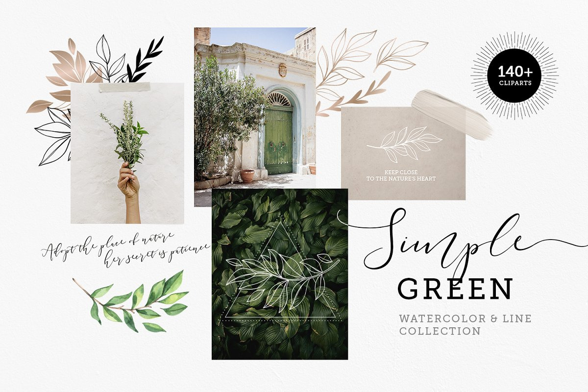 Modern Bundle | Logo | Watercolor, a Food Illustration by Kate Macate (Photo 6 of 19)