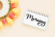 Misterday | Script Font, a Handwritten Font by Scratchones (Thumbnail 5 of 9)