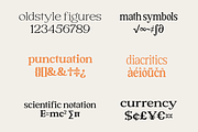 Forginty Serif Font, a Serif Font by Madjack.font (Thumbnail 6 of 13)