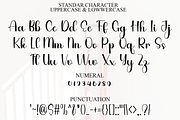 Dignity Beach, a Handwritten Font by FreshTypeINK (Thumbnail 3 of 8)