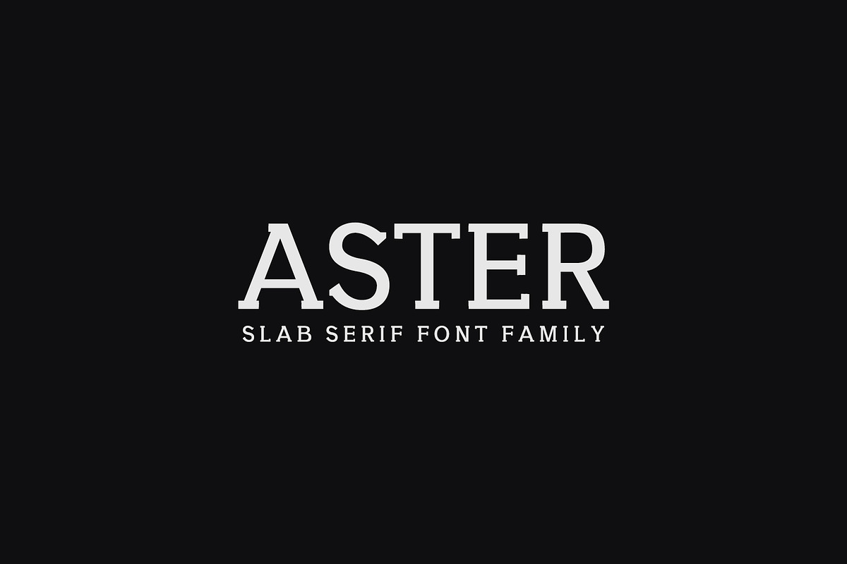 Sale || Slab Serif Font Bundle preview 5