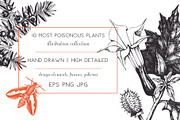10 Most Poisonous Plants. Vector set, a Healthcare Illustration by Yevheniia (Thumbnail 2 of 8)