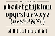 Agency Vinatge Serif Display, a Serif Font by Luna Shop (Thumbnail 5 of 9)