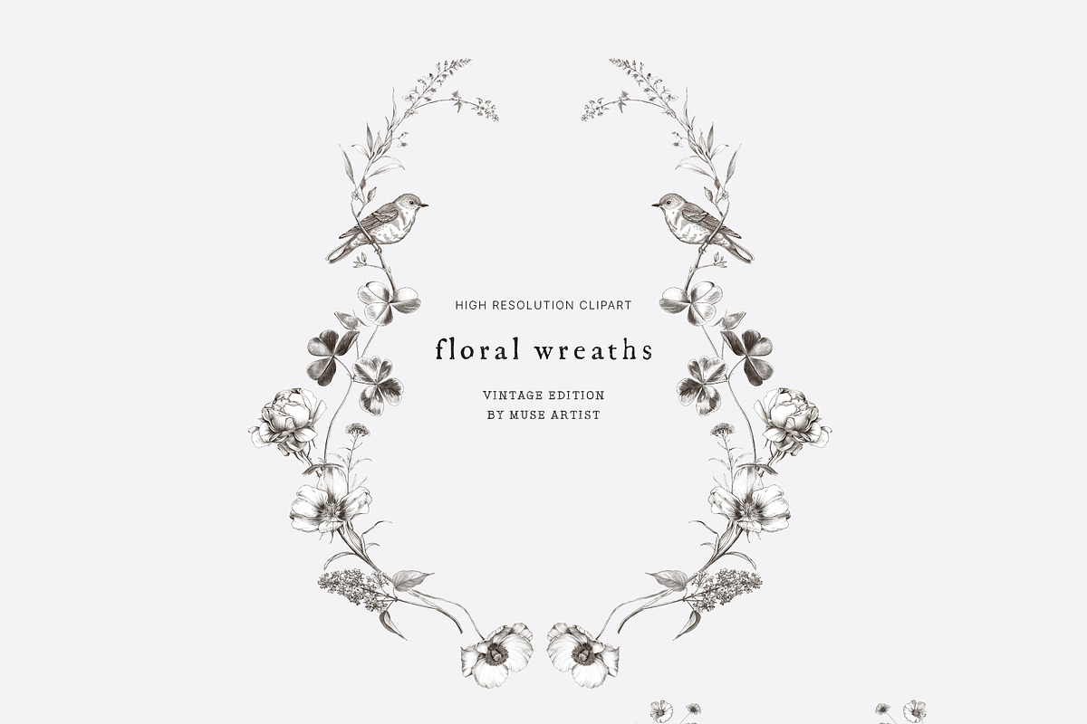 WILD GARDEN Pencil Sketch Clipart, a Decorative Illustration by Muse Artist (Photo 8 of 14)