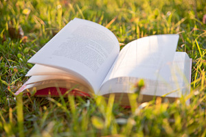 Autumn background with open book stock photo containing open and book