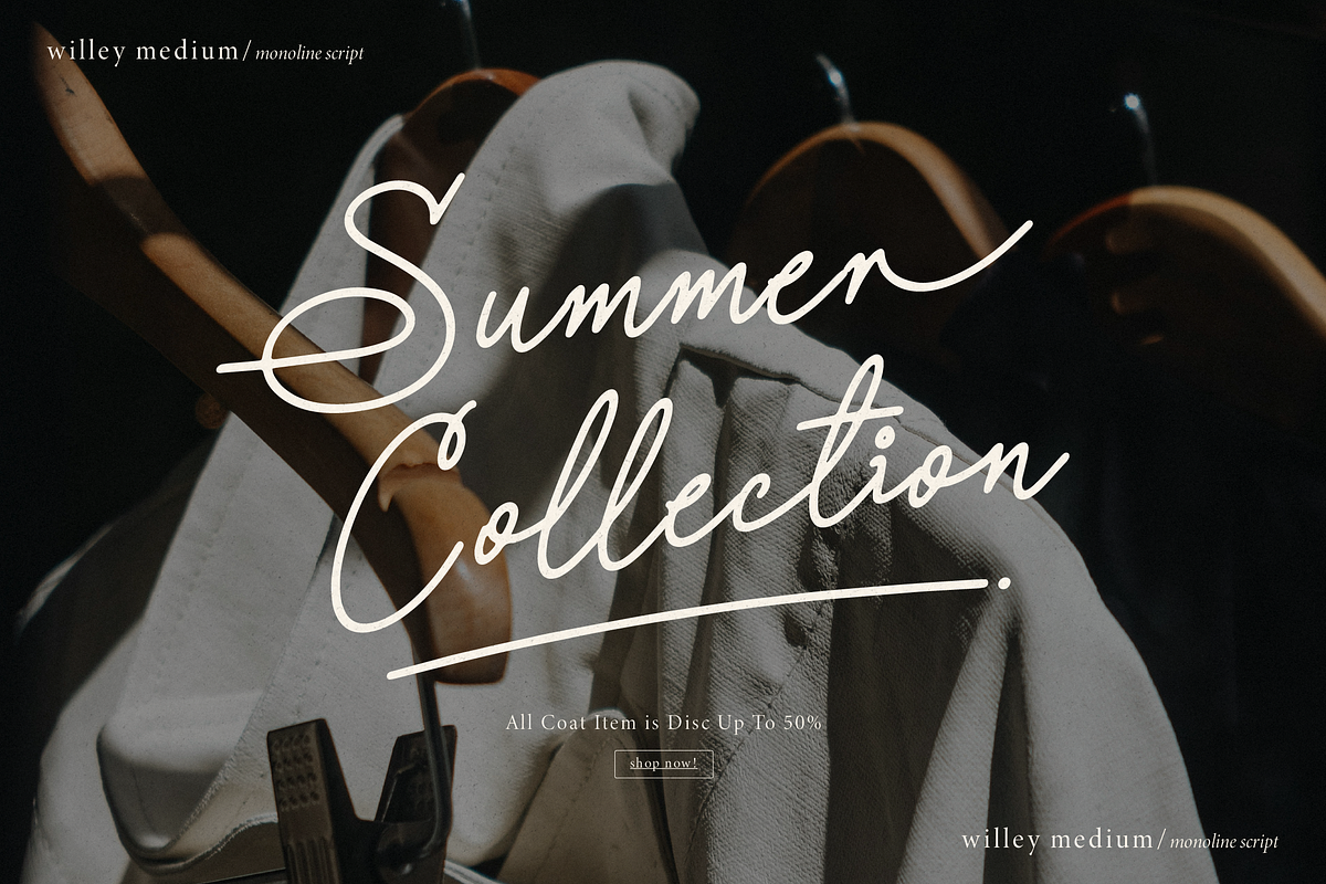 Willey Medium | Monoline Script Font, a Script Font by Denustudios (Photo 4 of 16)